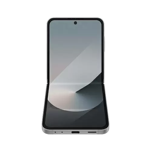 Samsung Galaxy Z Flip6, 12/512 ГБ, серый