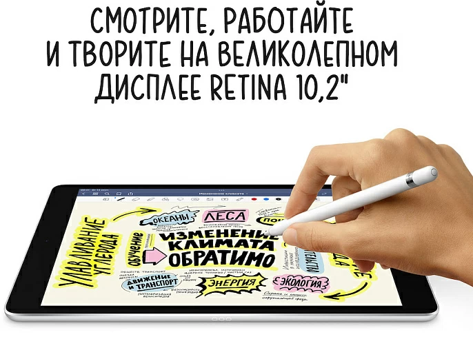 iPad 10,2" (2021), Wi-Fi 256 Гб, серебристый