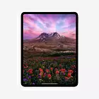 iPad Pro 13" (M4, 2024), Wi-Fi, 2 Тб, нанотекстурное стекло, серебристый