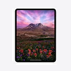 iPad Pro 13" (M4, 2024), Wi-Fi + Cellular, 256 Гб, серебристый