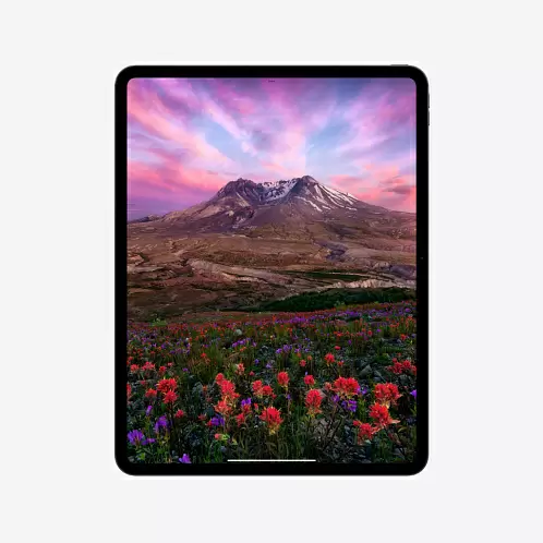 iPad Pro 13" (M4, 2024), Wi-Fi, 1 Тб, нанотекстурное стекло, серебристый