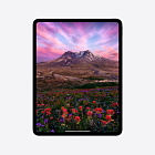 iPad Pro 13" (M4, 2024), Wi-Fi + Cellular, 1 Тб, серебристый