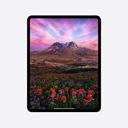 iPad Pro 13" (M4, 2024), Wi-Fi, 256 Гб, "черный космос"